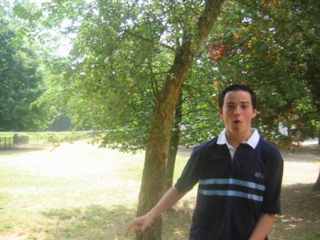 julien